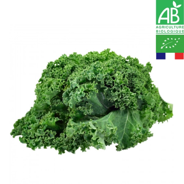 Choux Kale Bio 1kg